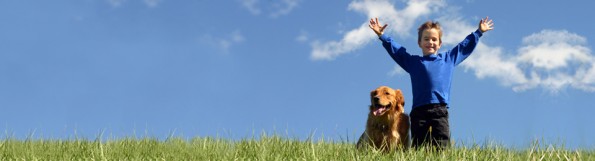 boy and golden retriever in field