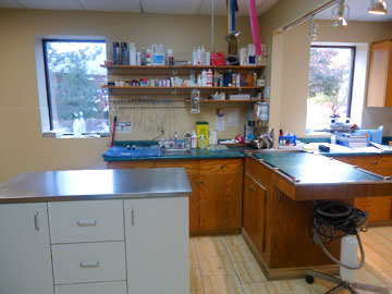 veterinary clinic medicine room