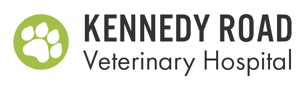 Kennedy Road Veterinary Hospital